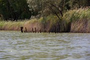 Sunken Barge and Steamer