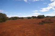 Hunt Oil Road (Good Campsite)