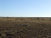 The airstrip on the northern section of the Hunt