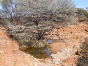 Rockhole 30 metres along the water course.