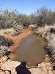 Lower waterhole 