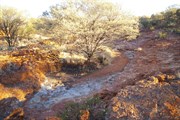 Alexander Spring dry may 2009