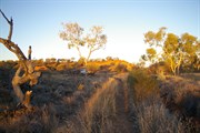 Hunt Oil Camp