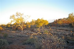 Hunt Oil Camp (Abandoned) - Hunt Oil Camp 