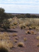 Hunt Oil Road & Tjirrkarli Access
