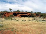 Caves & Hunt Oil Drilling Camp Access