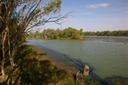 Murray River & Darling River