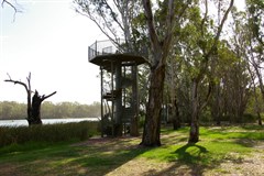 Murray River & Darling River 