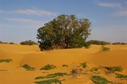 Perry Sandhills