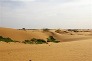 Perry Sandhills