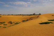 Perry Sandhills
