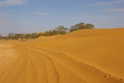 Perry Sandhills