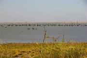 Lake Victoria