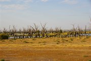 Rufus River & Lookout