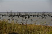 Lake Victoria
