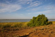 Rufus River & Lookout