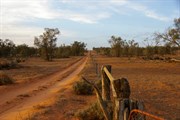 SA-NSW Border (Cal Lal Gate)
