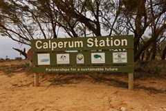 Main Wentworth Rd & Calperum Station Access