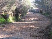 McKay Creek