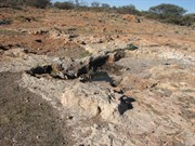 Rockhole Northside