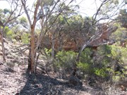 Tiger Trap Gully
