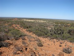 Tiger Trap Gully