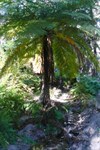 Bunbuncundoo Springs