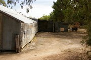 Old Chowilla Woolshed