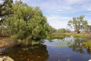 Werta Wert Wetlands