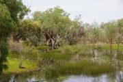 Werta Wert Wetlands