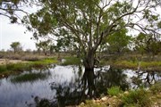 Werta Wert Wetlands