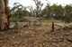 Camp Site 16