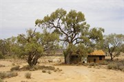 Pump Shed