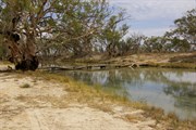 Old Stock Bridge
