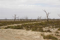 Lake Woolpolool