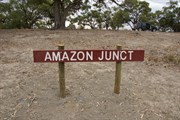 Amazon Junction