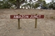 Amazon Junction