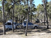Salvator Rosa Campground