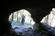 Cave - Mitchells Yard