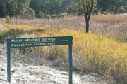 Mitchell Springs Sign
