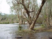 Roper River