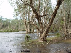 Roper Bar - Roper River 