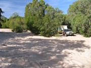 Shady and sandy campsite