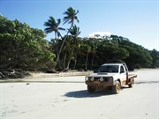 The beach drive