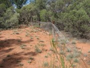 Section of the abandoned RPF
