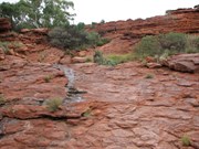 Climbing up Virgin Springs gorge
