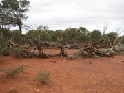 Blue Hills Station - old horse yard