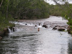 Eliot Falls