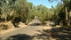 The Low Level Bridge