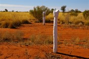 Len Beadell Marker (Tropic of Capricorn)